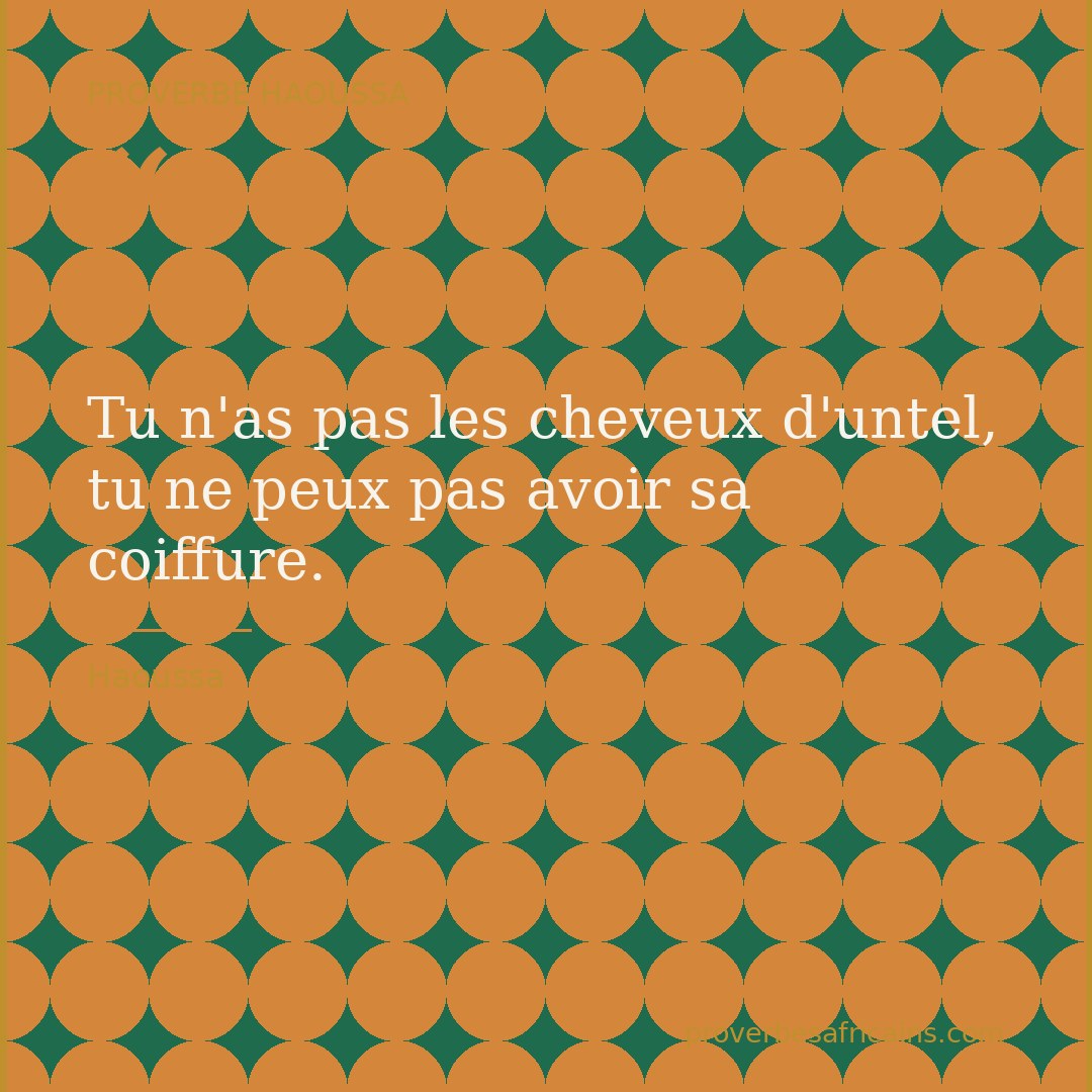 Proverbe africain illustré sur fond wax : « Tu n'as pas les cheveux d'untel, tu ne peux pas avoir sa coiffure. »