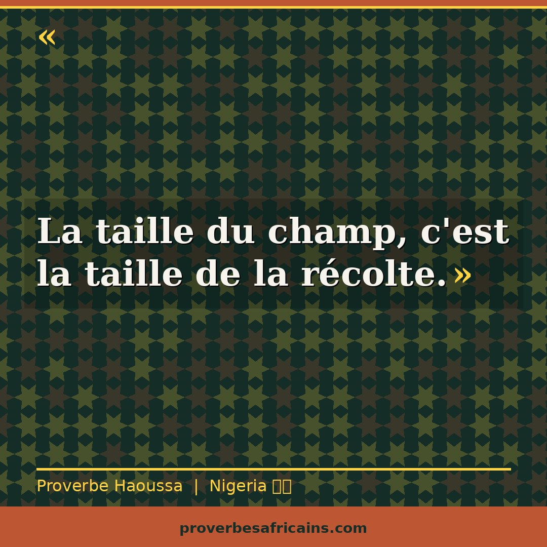 Proverbe africain illustré sur fond wax : « La taille du champ, c'est la taille de la récolte. »