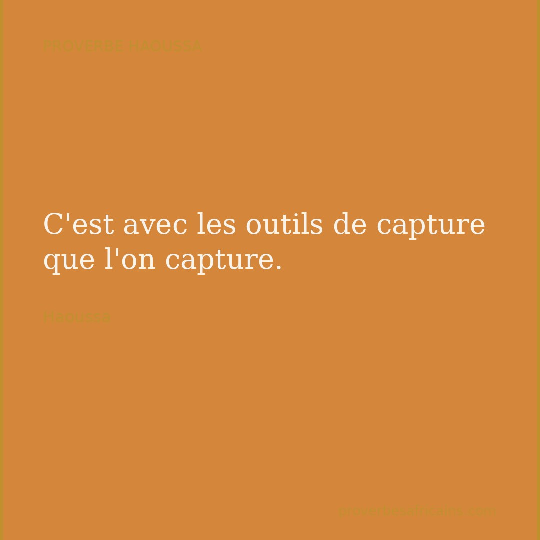 Proverbe africain illustré sur fond wax : « C'est avec les outils de capture que l'on capture. »