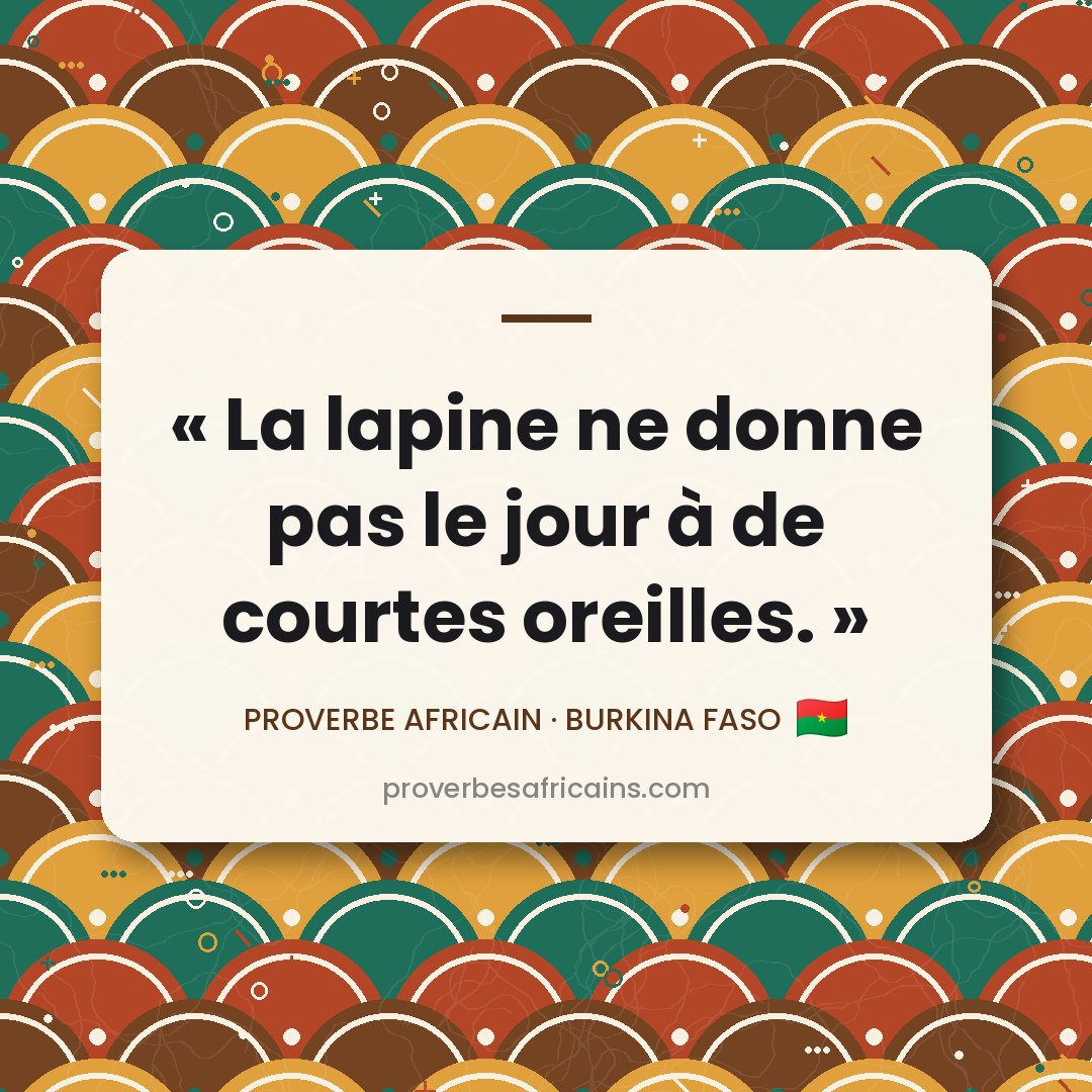 Proverbe africain illustré sur fond wax : « La lapine ne donne pas le jour à de courtes oreilles. »