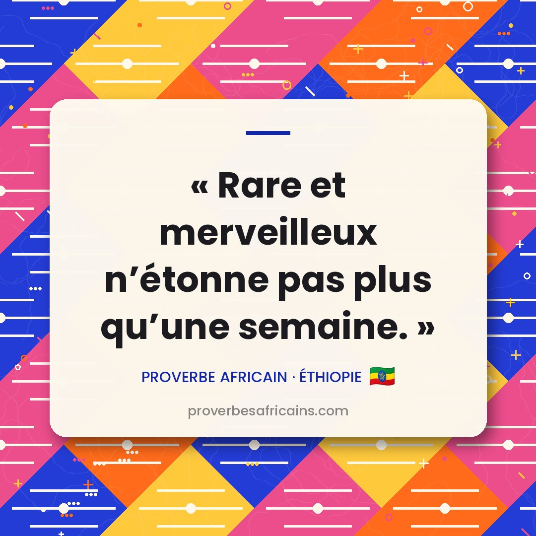 Proverbe africain illustré sur fond wax : « Rare et merveilleux n'étonne pas plus qu'une semaine. »