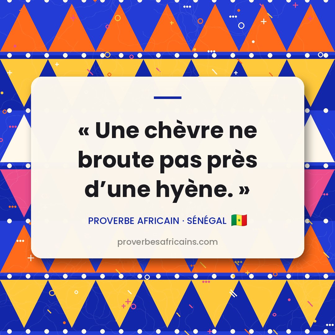 Proverbe africain illustré sur fond wax : « Une chèvre ne broute pas près d'une hyène. »